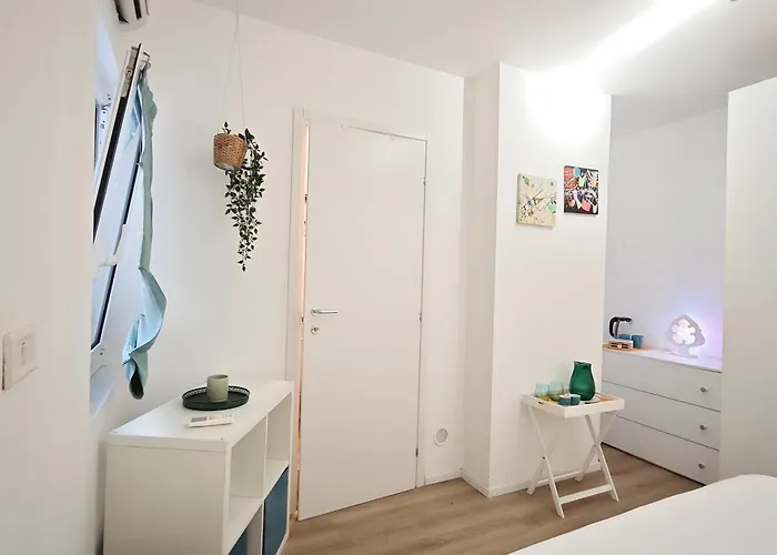 Giallosole * בארי